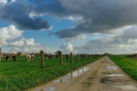 Farm Road Repairs Welwyn Garden City AL7-AL8