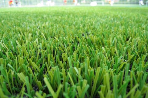 Artificial Grass near me Letchworth SG6