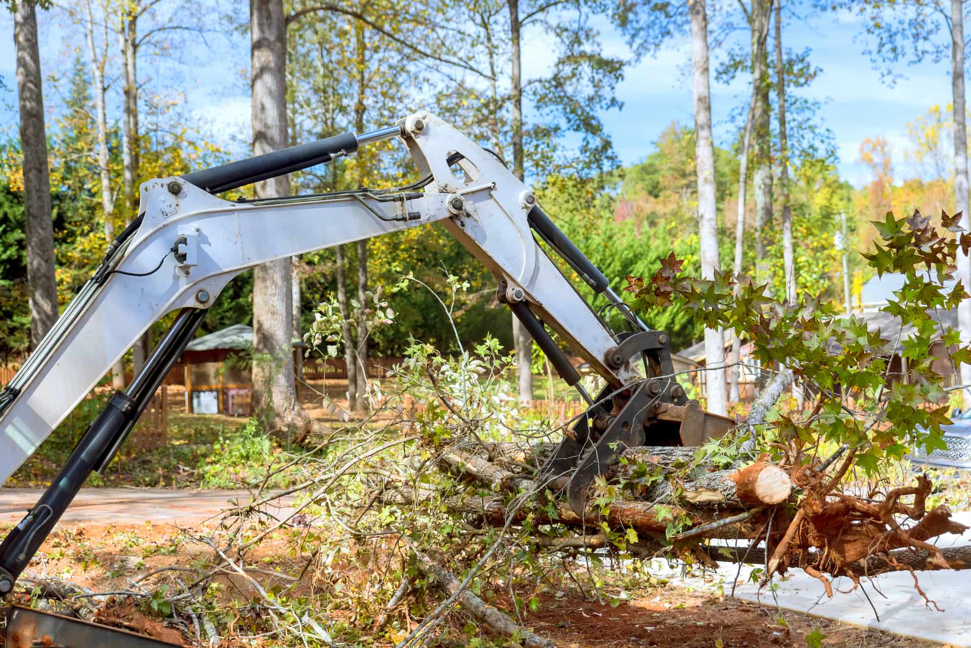 Site clearance company near Hertfordshire